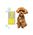 Ivyとお友達のスタンプ2（個別スタンプ：10）