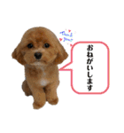 Ivyとお友達のスタンプ2（個別スタンプ：14）