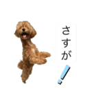 Ivyとお友達のスタンプ2（個別スタンプ：15）