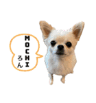 Ivyとお友達のスタンプ2（個別スタンプ：16）