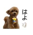Ivyとお友達のスタンプ2（個別スタンプ：17）