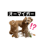 Ivyとお友達のスタンプ2（個別スタンプ：22）