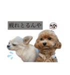 Ivyとお友達のスタンプ2（個別スタンプ：23）