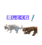 Ivyとお友達のスタンプ2（個別スタンプ：24）