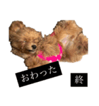 Ivyとお友達のスタンプ2（個別スタンプ：27）