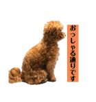 Ivyとお友達のスタンプ2（個別スタンプ：28）