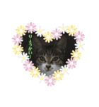 世界一可愛い猫のえまちゃん（個別スタンプ：2）