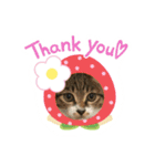 世界一可愛い猫のえまちゃん（個別スタンプ：3）