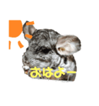 AO's zoo（個別スタンプ：1）
