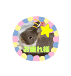 AO's zoo（個別スタンプ：5）