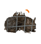 AO's zoo（個別スタンプ：8）