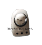 気力うさぎ（個別スタンプ：13）