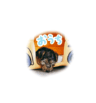 ナッツくん2（個別スタンプ：3）