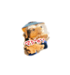 ナッツくん2（個別スタンプ：7）