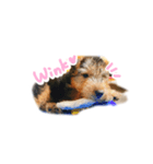 ナッツくん2（個別スタンプ：8）
