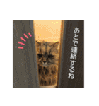 まろももお友達編②アイシャちゃんと➕1（個別スタンプ：2）