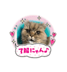 まろももお友達編②アイシャちゃんと➕1（個別スタンプ：5）