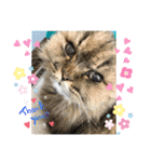まろももお友達編②アイシャちゃんと➕1（個別スタンプ：9）