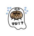 まろももお友達編②アイシャちゃんと➕1（個別スタンプ：17）