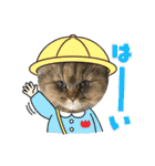 まろももお友達編②アイシャちゃんと➕1（個別スタンプ：20）