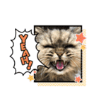 まろももお友達編②アイシャちゃんと➕1（個別スタンプ：21）