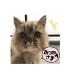 まろももお友達編②アイシャちゃんと➕1（個別スタンプ：26）
