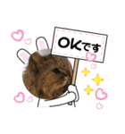 まろももお友達編②アイシャちゃんと➕1（個別スタンプ：29）