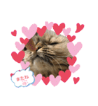 まろももお友達編②アイシャちゃんと➕1（個別スタンプ：33）