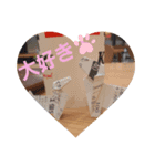 レシート犬2（個別スタンプ：5）
