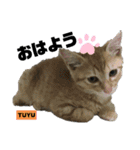 みらいねこ横濱②（個別スタンプ：27）