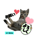 みらいねこ横濱②（個別スタンプ：35）