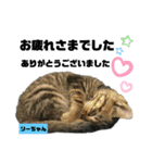 みらいねこ横濱②（個別スタンプ：38）