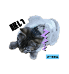 みらいねこ横濱②（個別スタンプ：39）