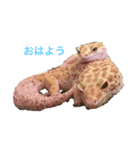 スタンプカイ（個別スタンプ：2）
