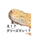 スタンプカイ（個別スタンプ：3）