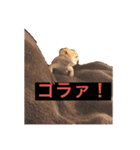 スタンプカイ（個別スタンプ：4）