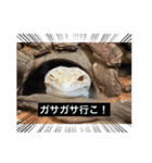 スタンプカイ（個別スタンプ：7）