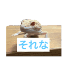 スタンプカイ（個別スタンプ：8）