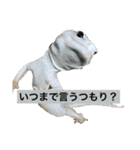 スタンプカイ（個別スタンプ：9）