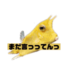 スタンプカイ（個別スタンプ：15）
