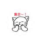 ねこぷスタンプ③（個別スタンプ：19）