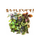 D＆Ydesign みみちゃんとお友達（個別スタンプ：2）