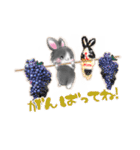 D＆Ydesign みみちゃんとお友達（個別スタンプ：11）