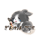 D＆Ydesign みみちゃんとお友達（個別スタンプ：16）