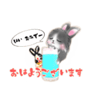 D＆Ydesign みみちゃんとお友達（個別スタンプ：17）