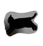 可愛い猫スタンプ1弾（個別スタンプ：2）