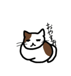 可愛い猫スタンプ1弾（個別スタンプ：8）
