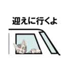 ぶりちゃんず（個別スタンプ：32）