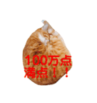 アレイさん金ちゃんすぴぴ（個別スタンプ：10）
