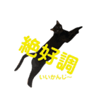 アレイさん金ちゃんすぴぴ（個別スタンプ：11）